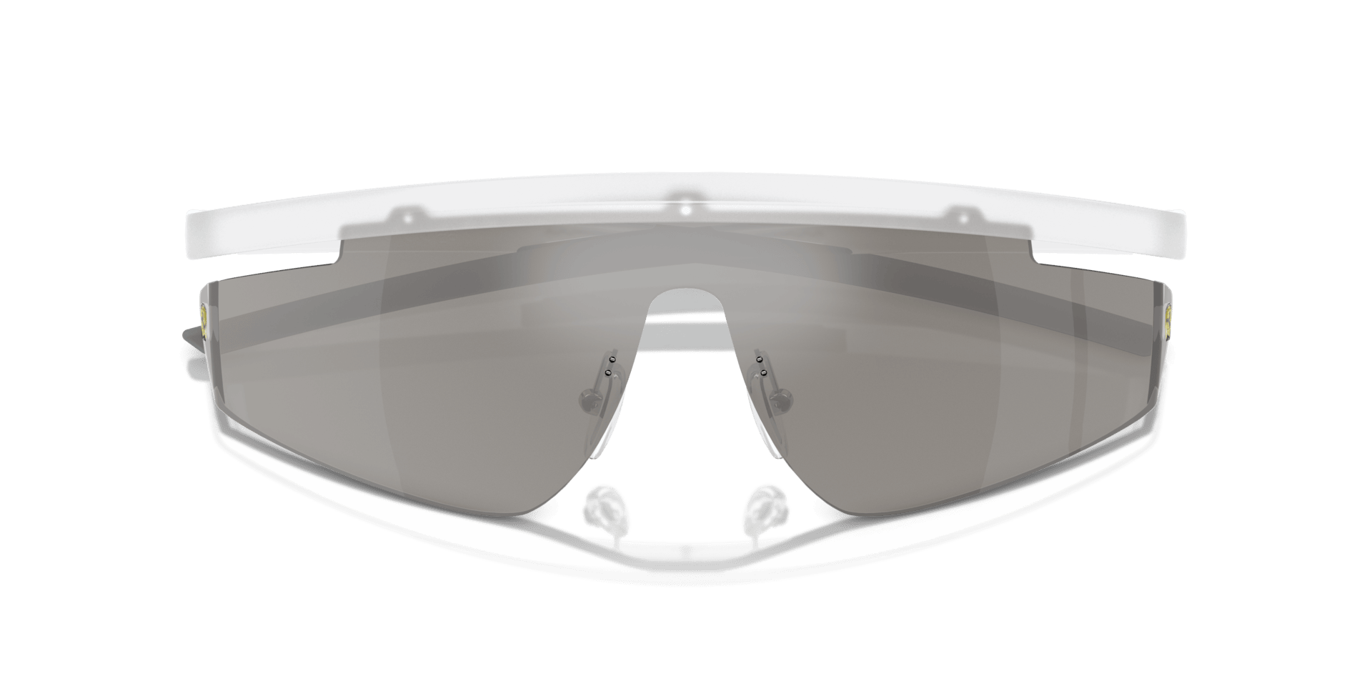 0FZ6001 Injected Unisex Sunglasses