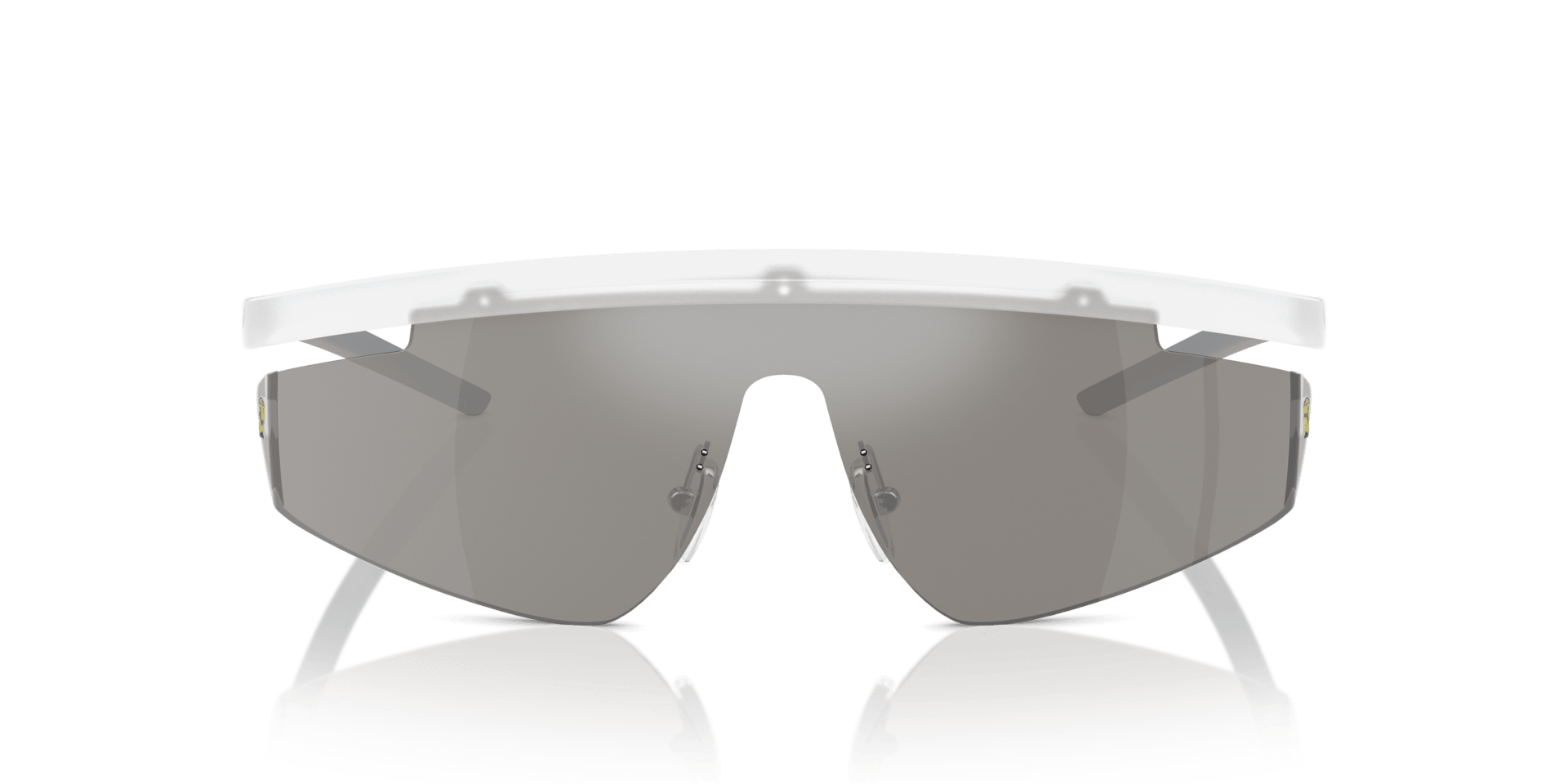 0FZ6001 Injected Unisex Sunglasses