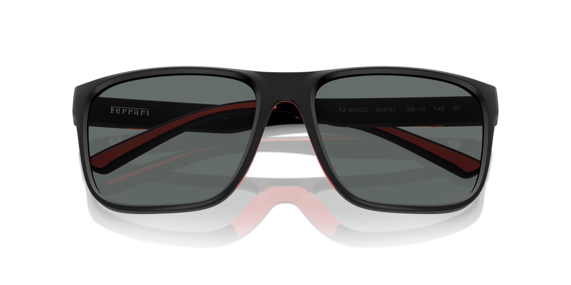 0FZ6002U Injected Men Sunglasses