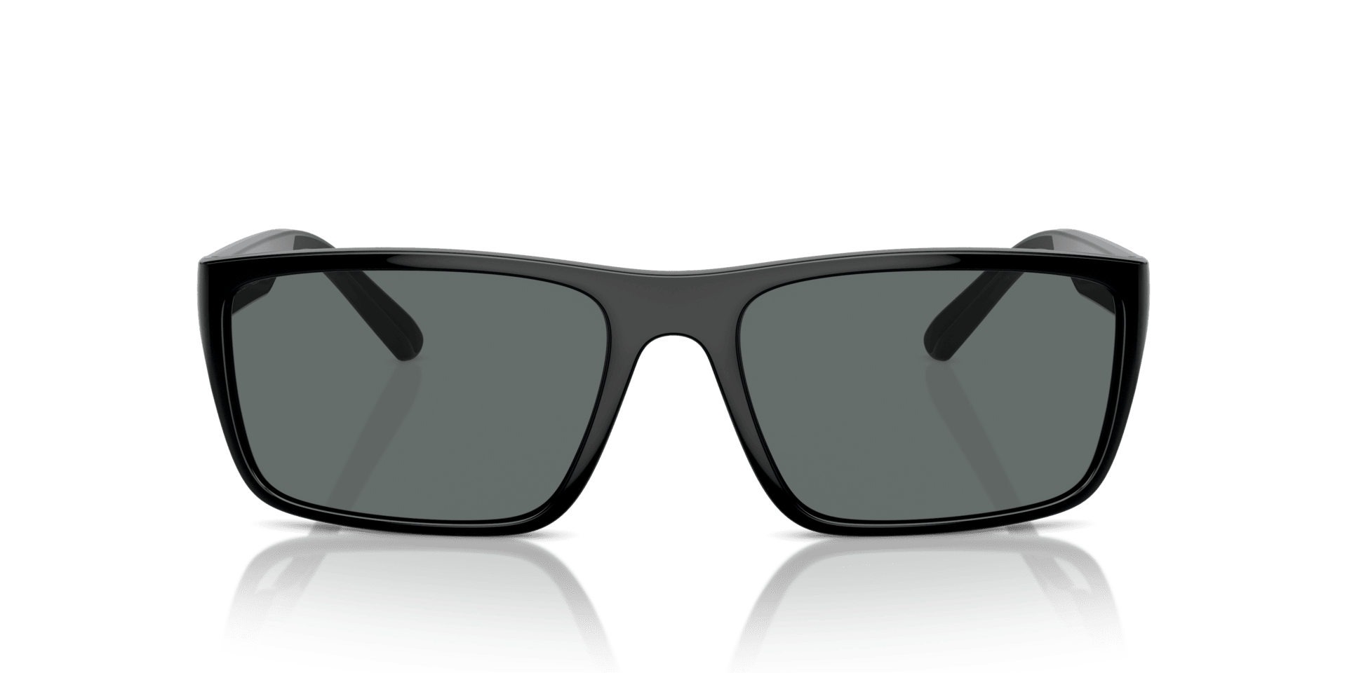 0FZ6003U Injected Men Sunglasses