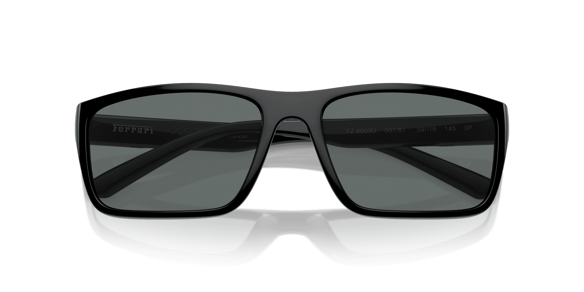 0FZ6003U Injected Men Sunglasses