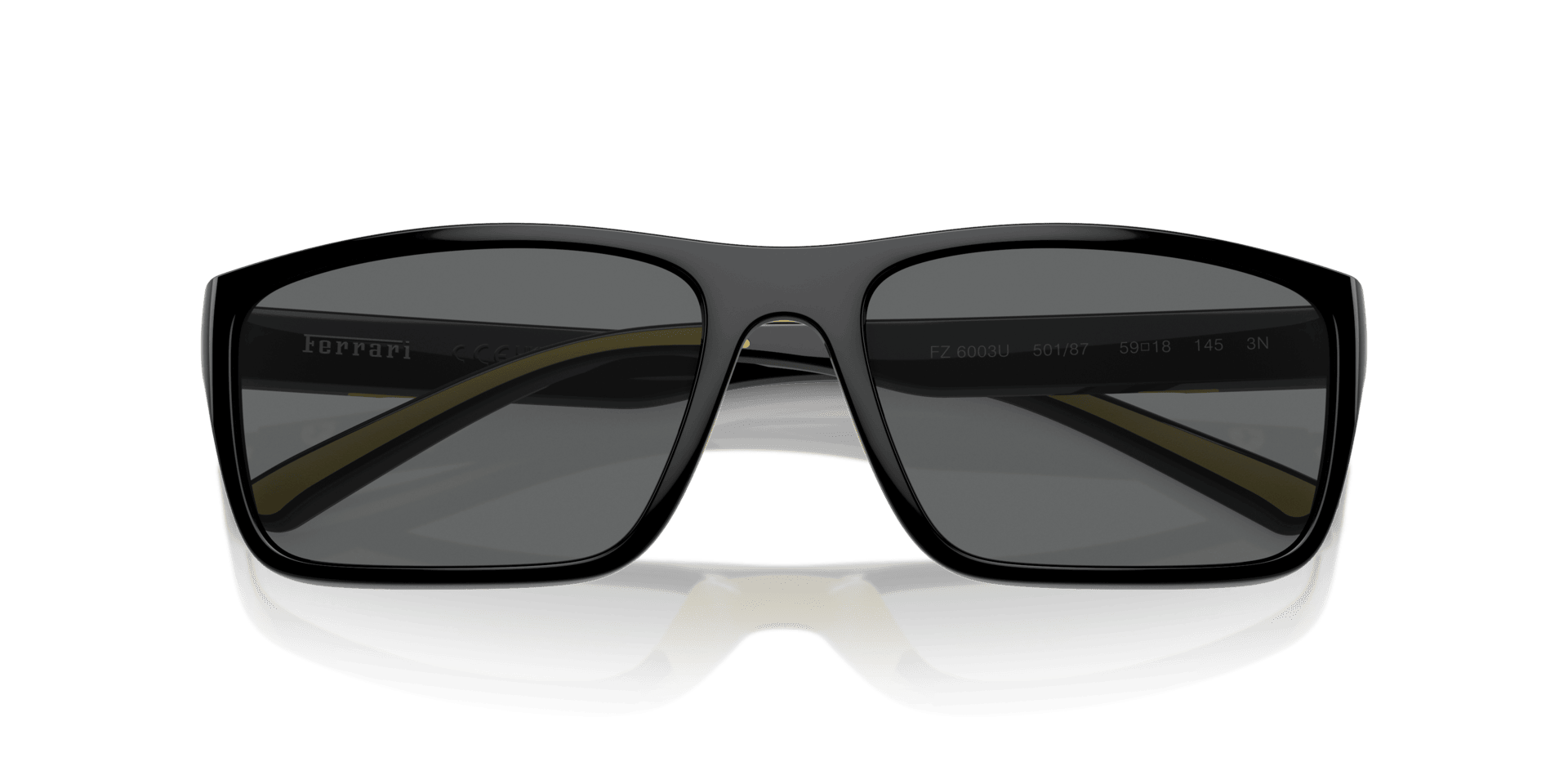0FZ6003U Injected Men Sunglasses