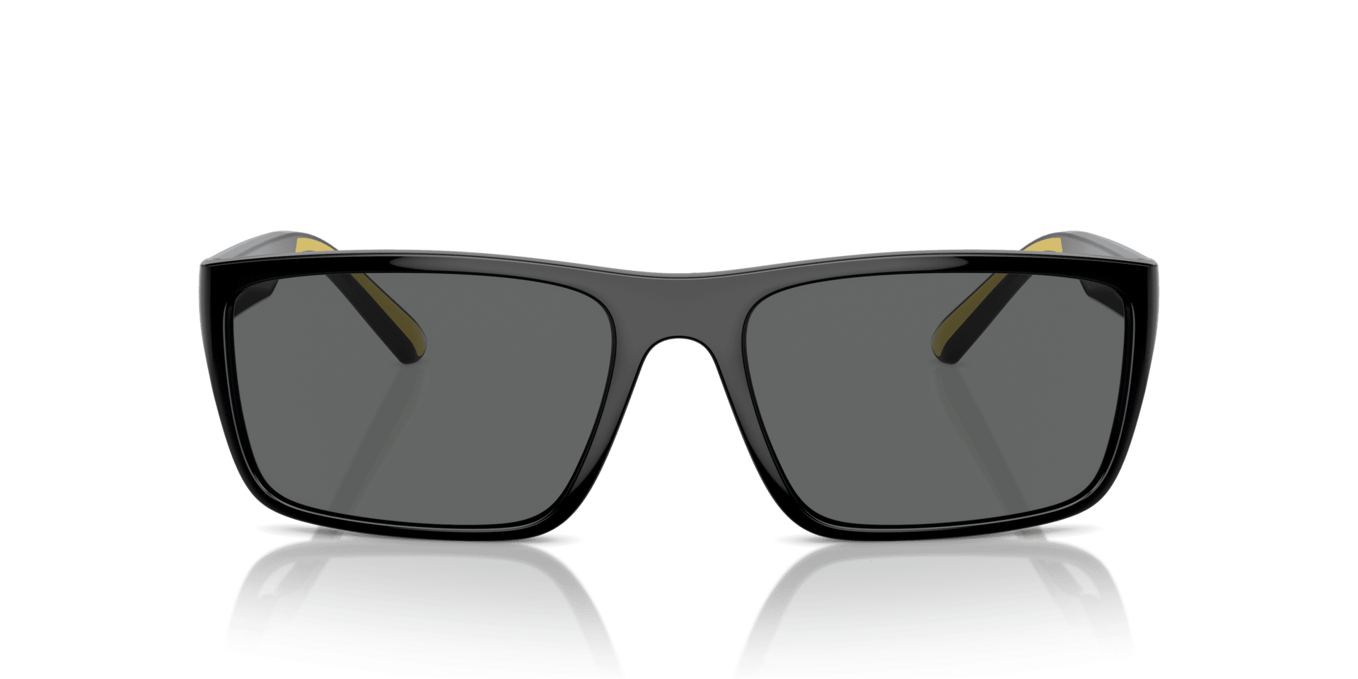 0FZ6003U Injected Men Sunglasses