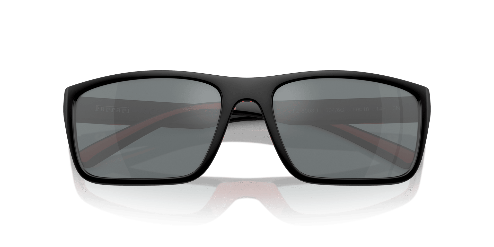 0FZ6003U Injected Men Sunglasses