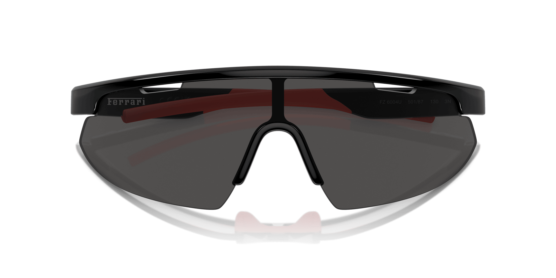 0FZ6004U Injected Unisex Sunglasses