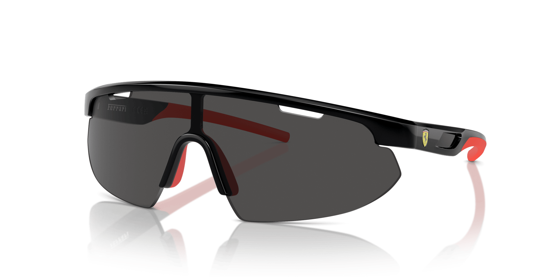 0FZ6004U Injected Unisex Sunglasses