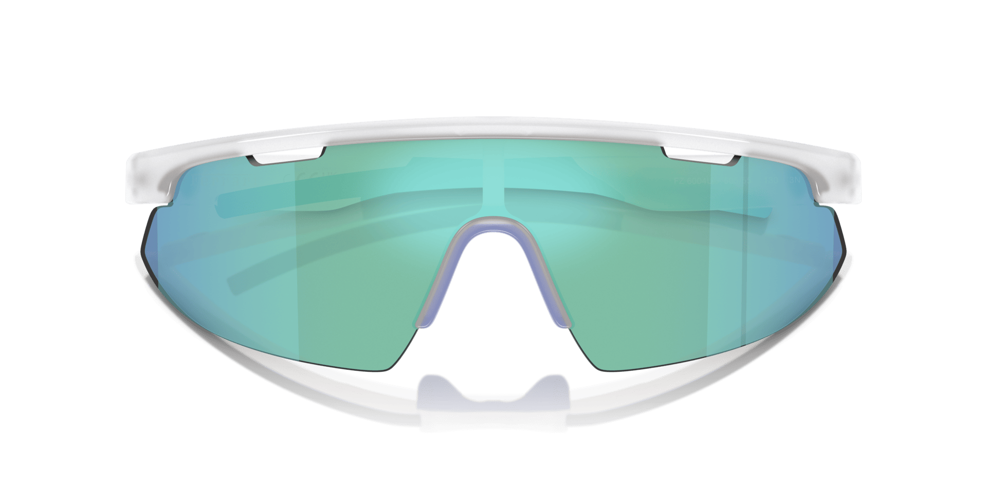 0FZ6004U Injected Unisex Sunglasses