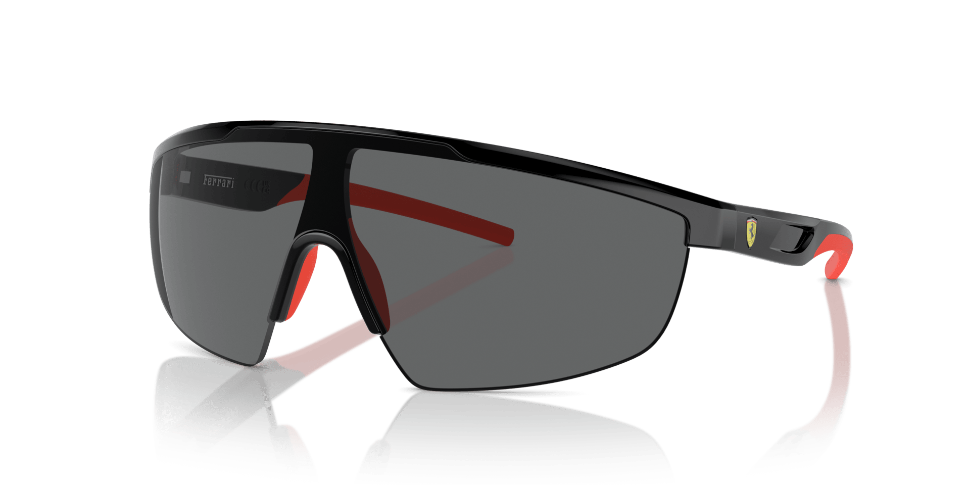 0FZ6005U Injected Unisex Sunglasses