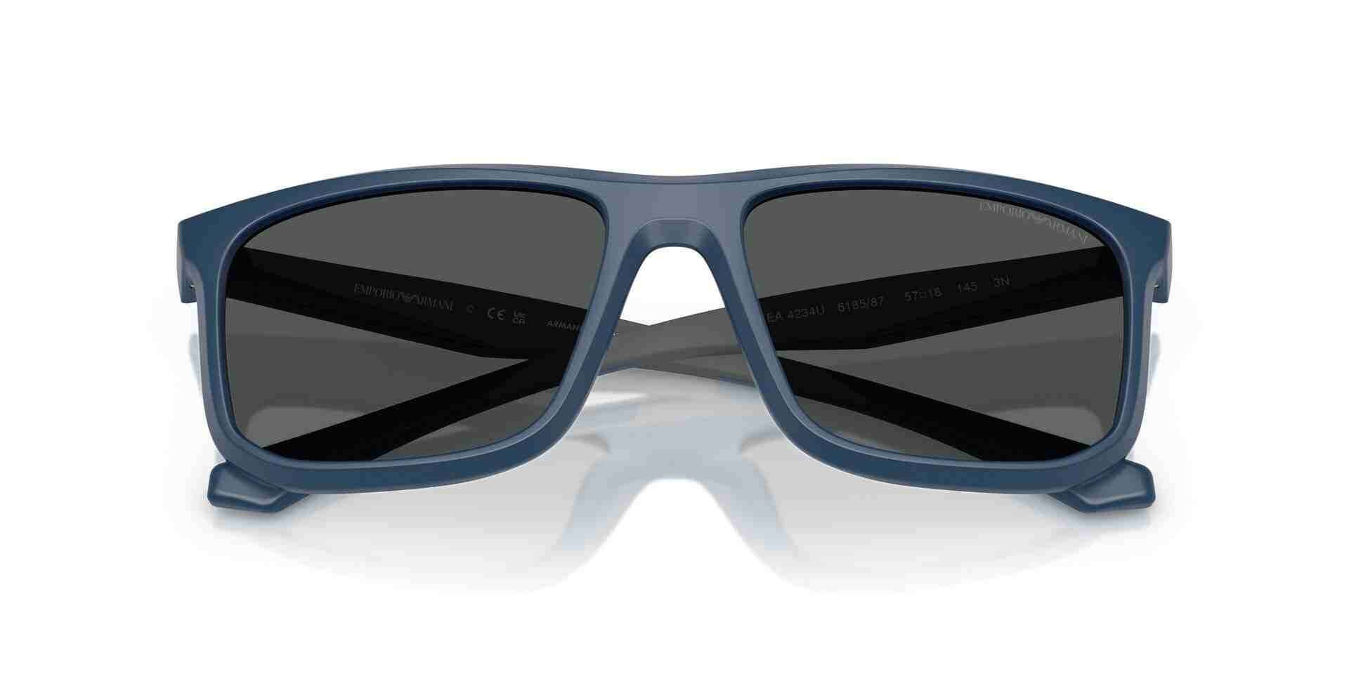 0EA4234U Injected Men Sunglasses
