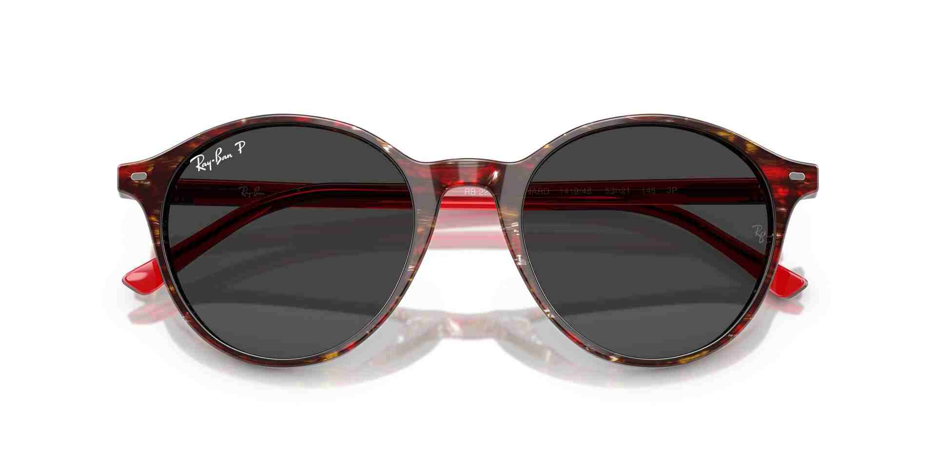 0RB2230, Acetate Unisex Sunglasses