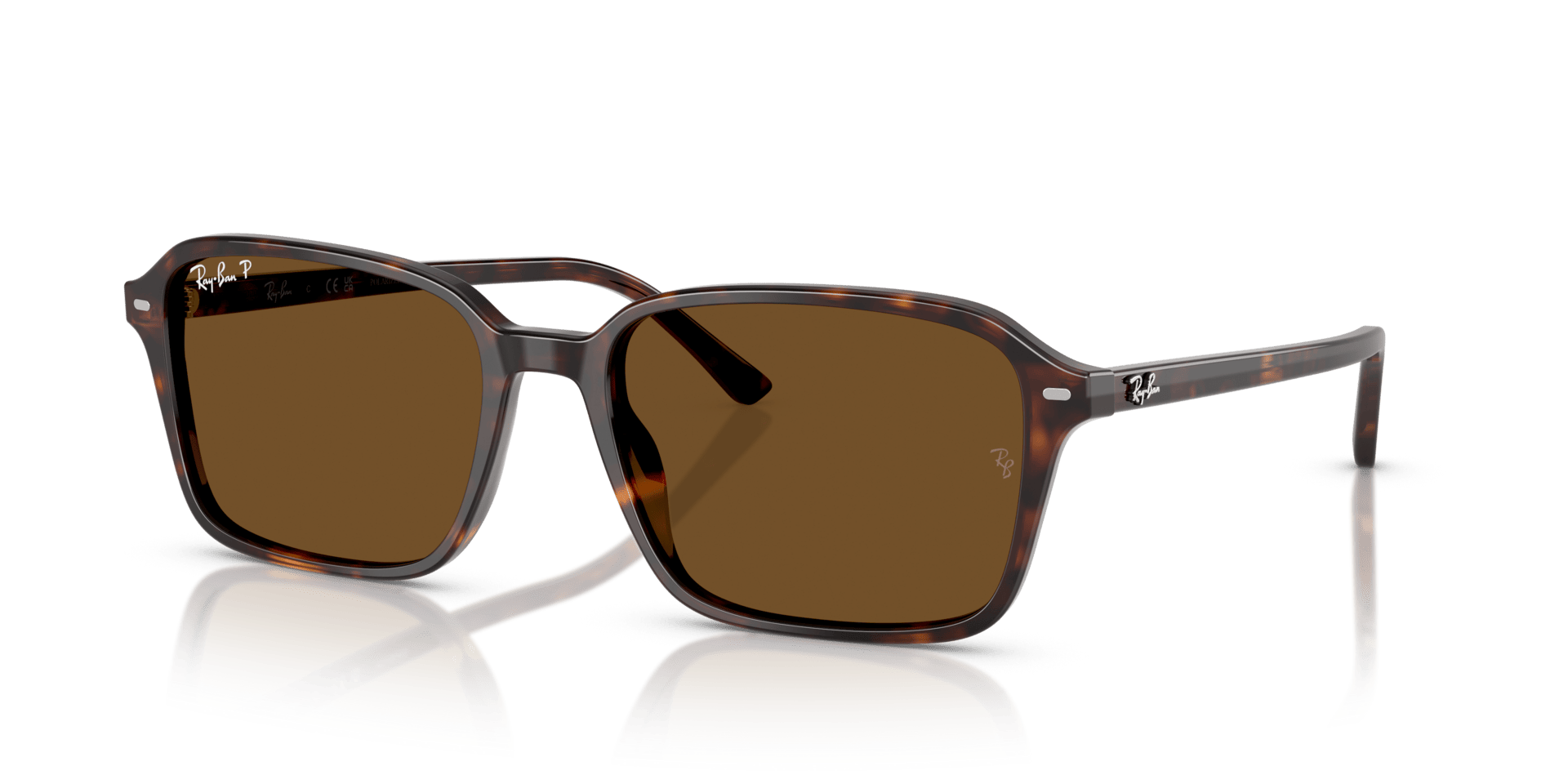 0RB2231, Acetate Unisex Sunglasses