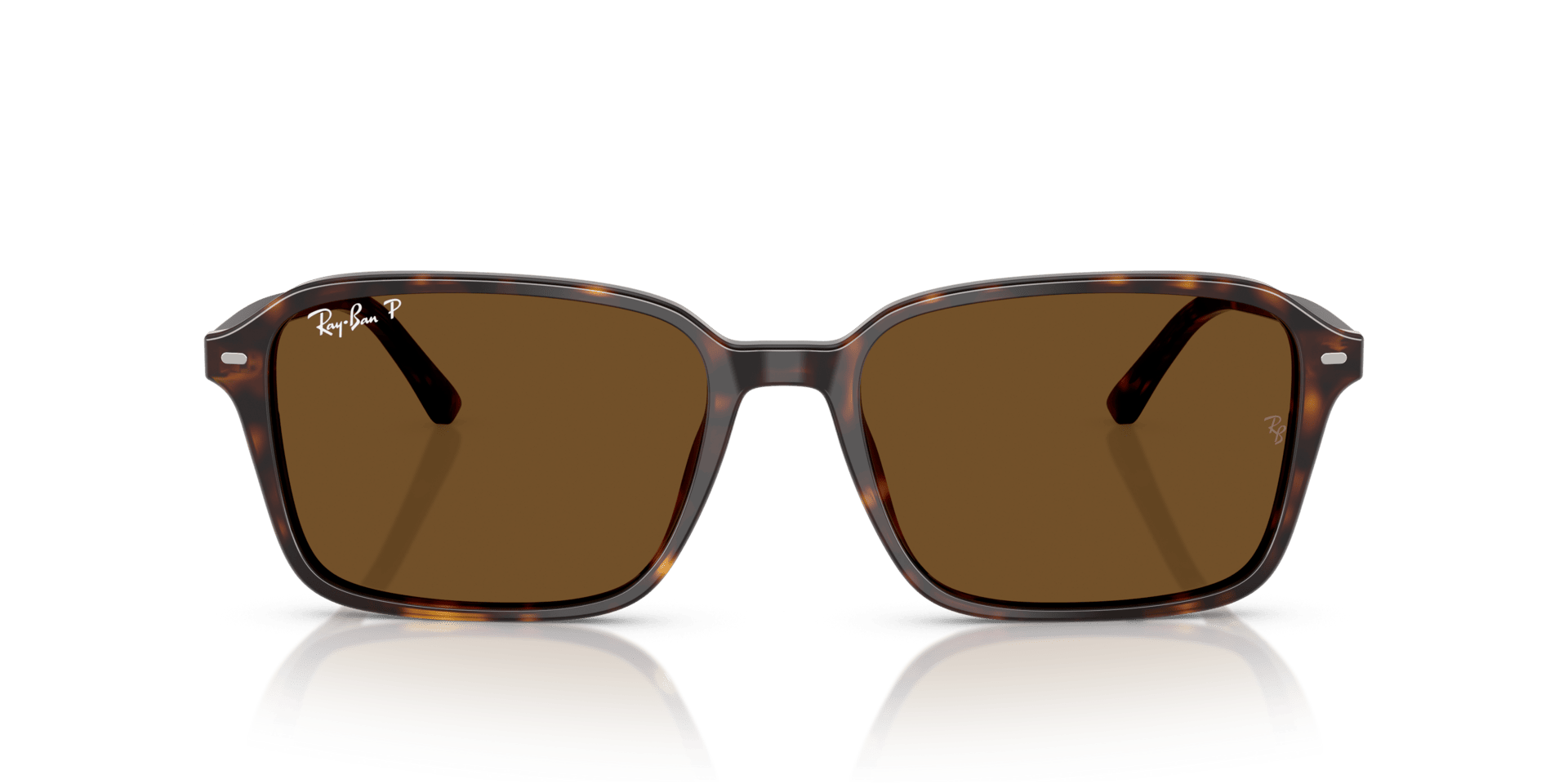 0RB2231, Acetate Unisex Sunglasses