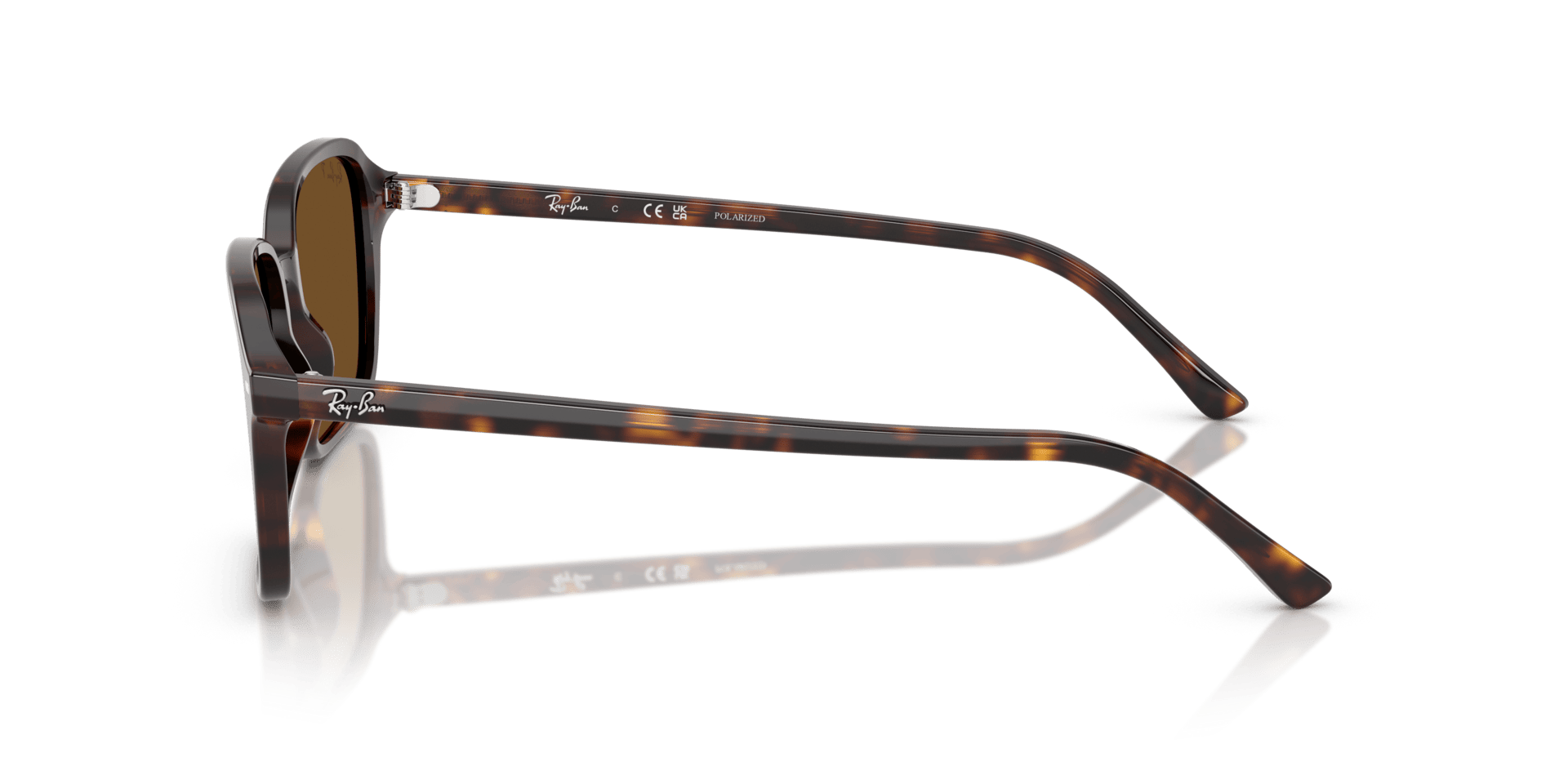 0RB2231, Acetate Unisex Sunglasses