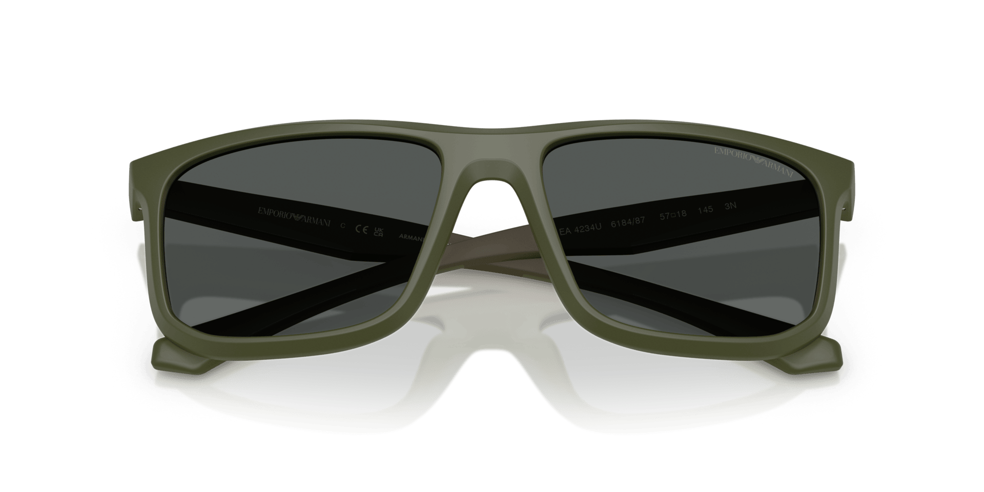 0EA4234U Injected Men Sunglasses