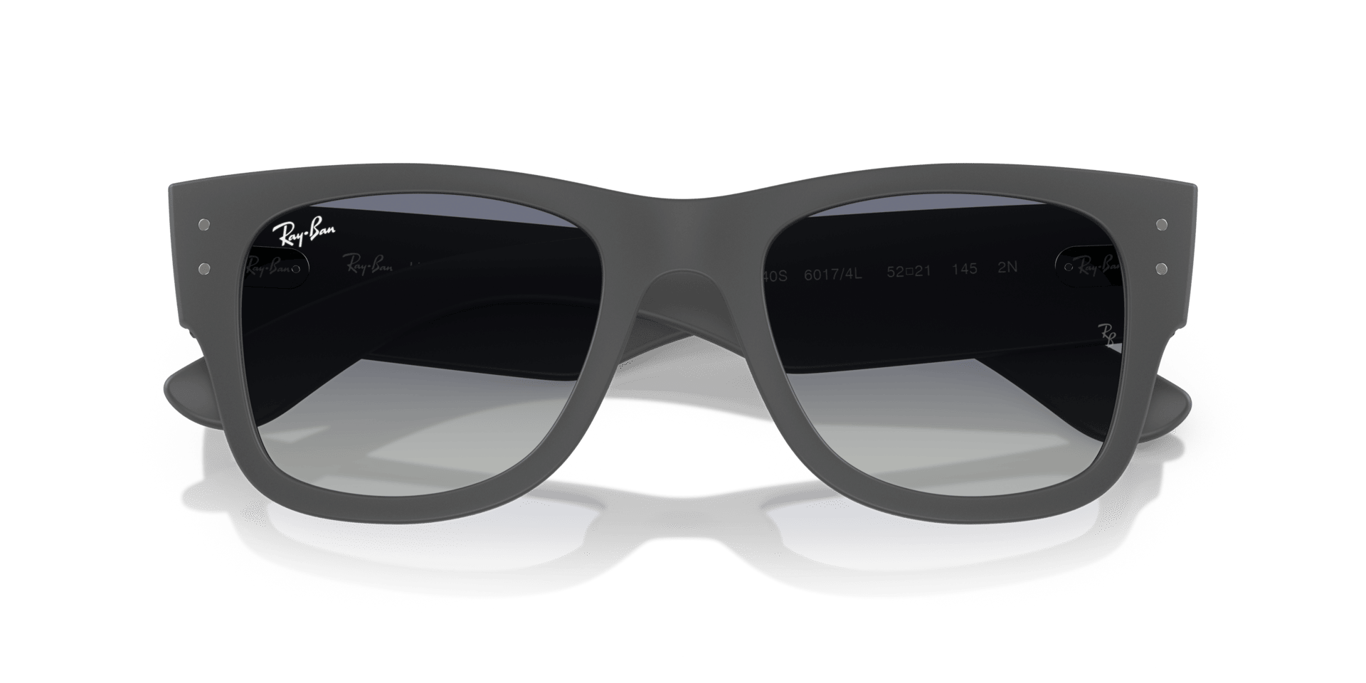 0RB4840S Peek Unisex Sunglasses
