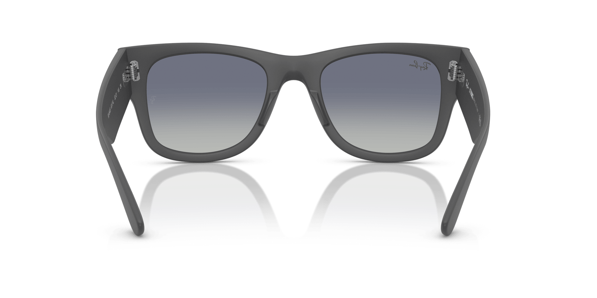 0RB4840S Peek Unisex Sunglasses