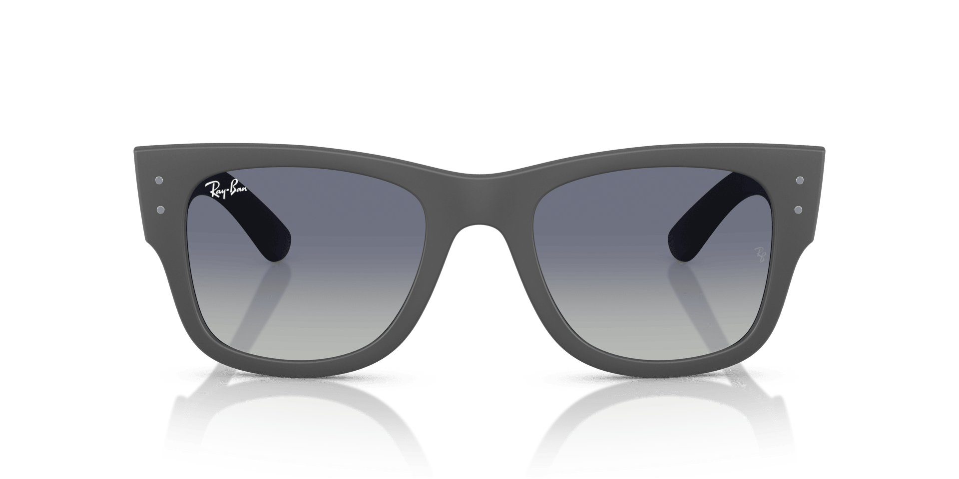 0RB4840S Peek Unisex Sunglasses