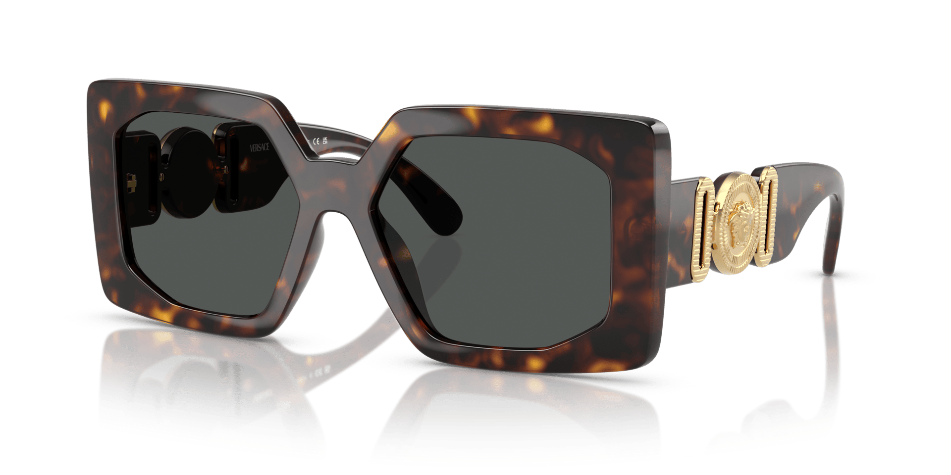 0VE4478U Injected Women Sunglasses