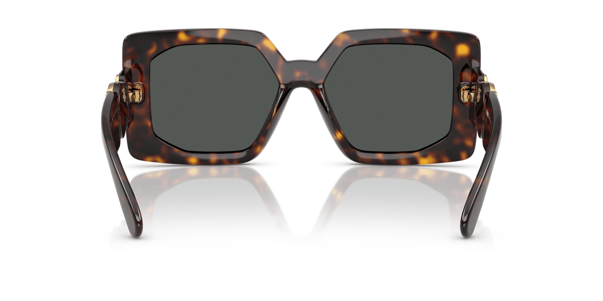 0VE4478U Injected Women Sunglasses