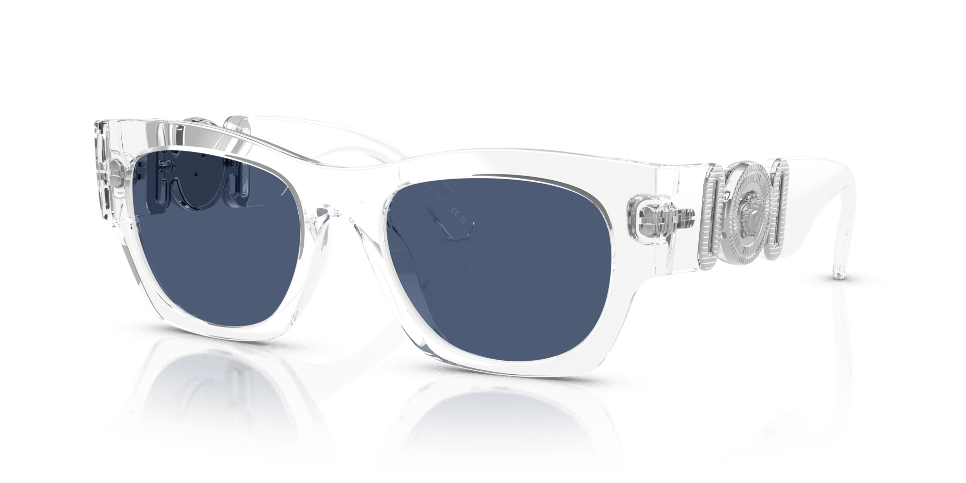 0VE4479U Injected Men Sunglasses