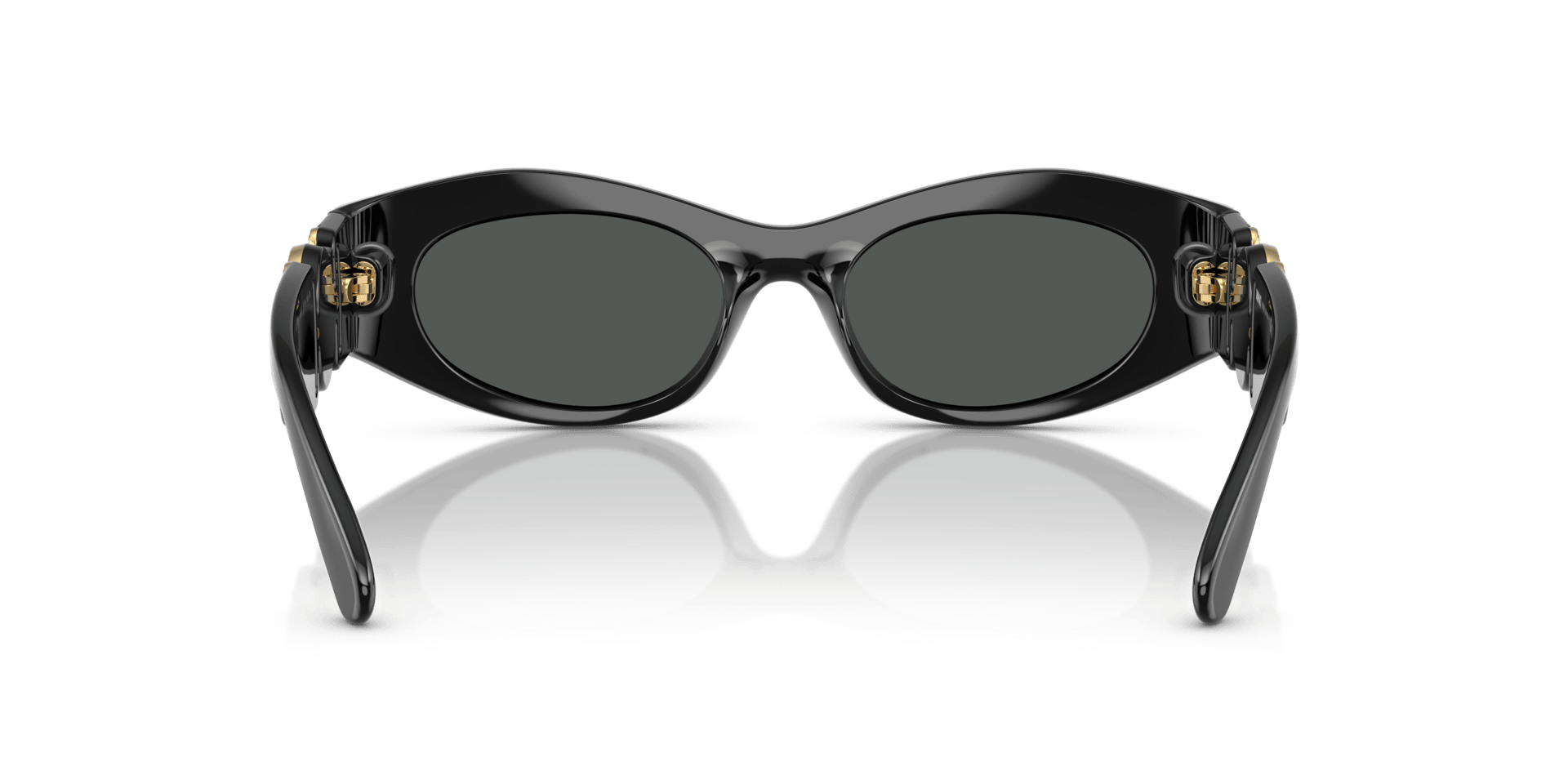 0VE4480U Injected Women Sunglasses