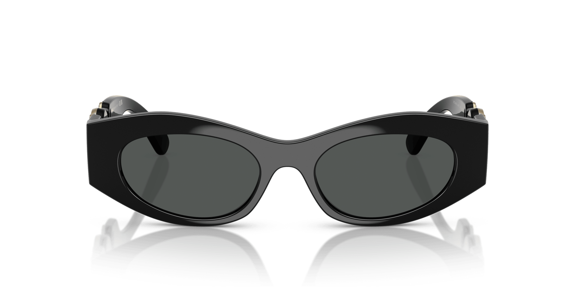 0VE4480U Injected Women Sunglasses