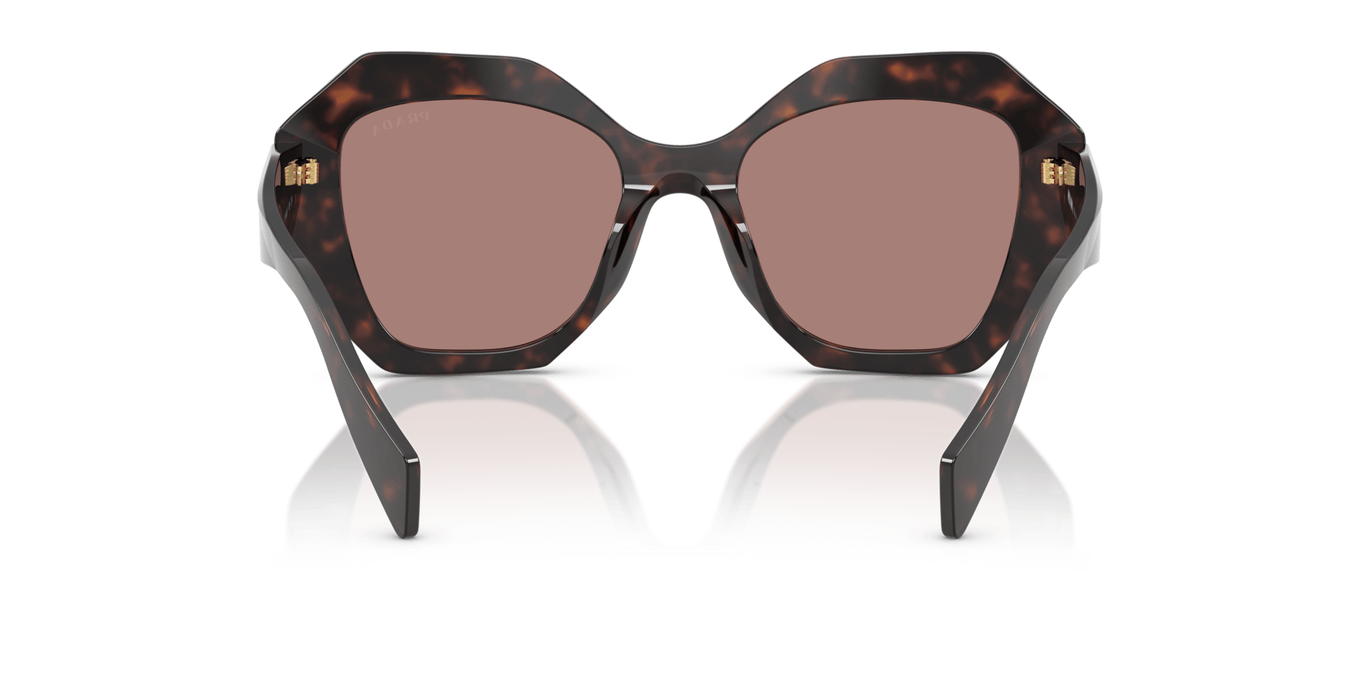 0PR 16WS Acetate Women Sunglasses