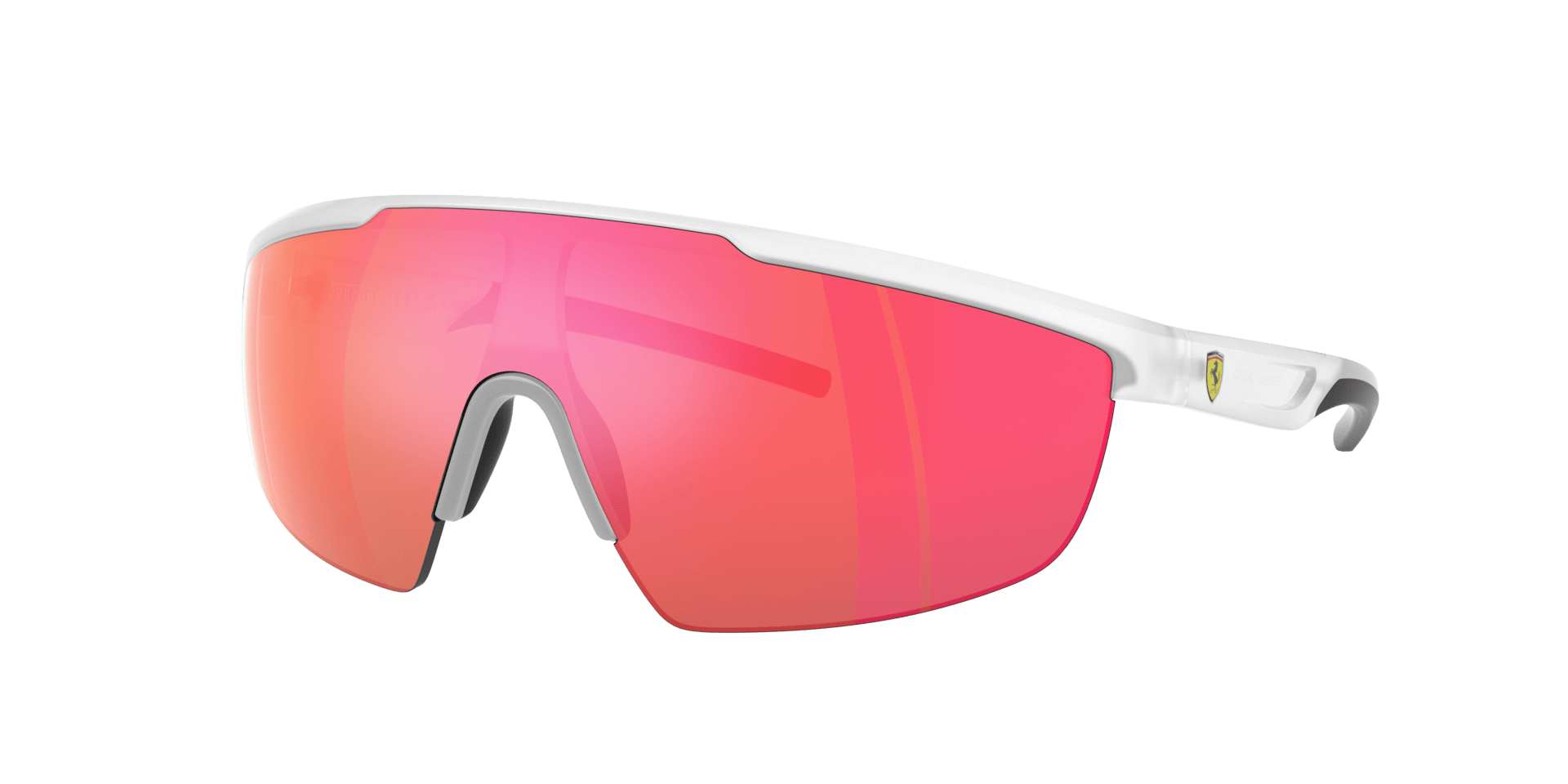 0FZ6005U Injected Unisex Sunglasses