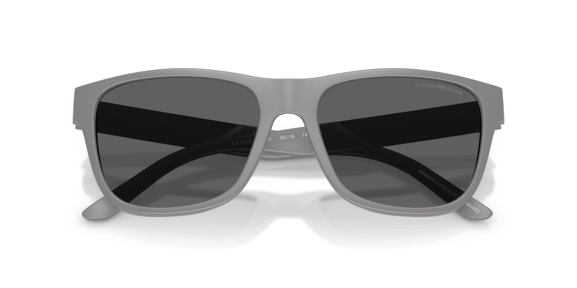 0EA4243 Injected Men Sunglasses