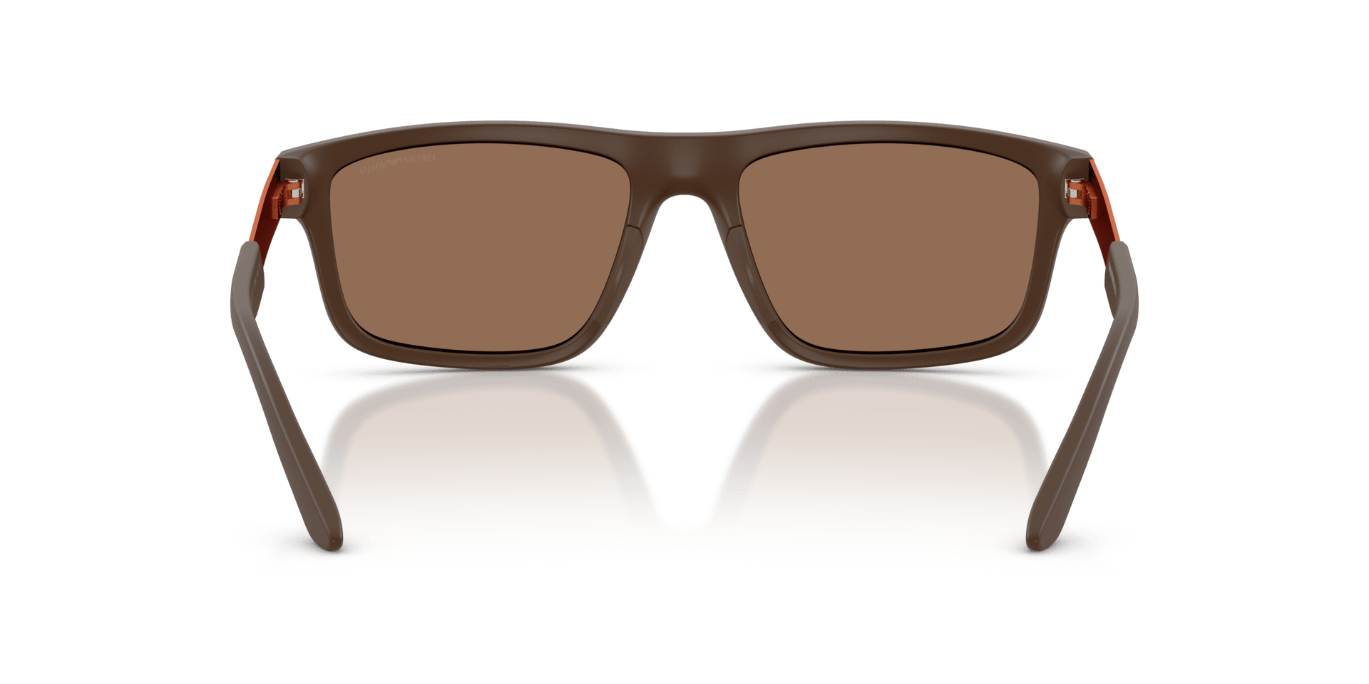 0EA4244U Injected Men Sunglasses