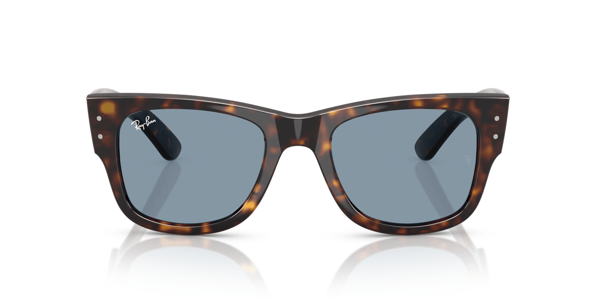 0RB0840S Propionate Unisex Sunglasses