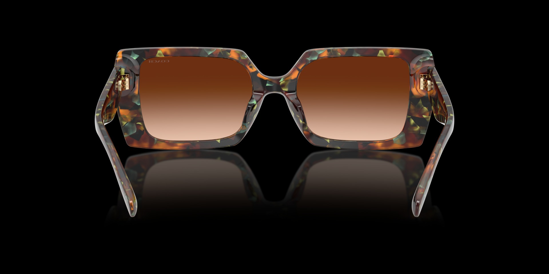 Coach Brown Acetate Women Sunglass