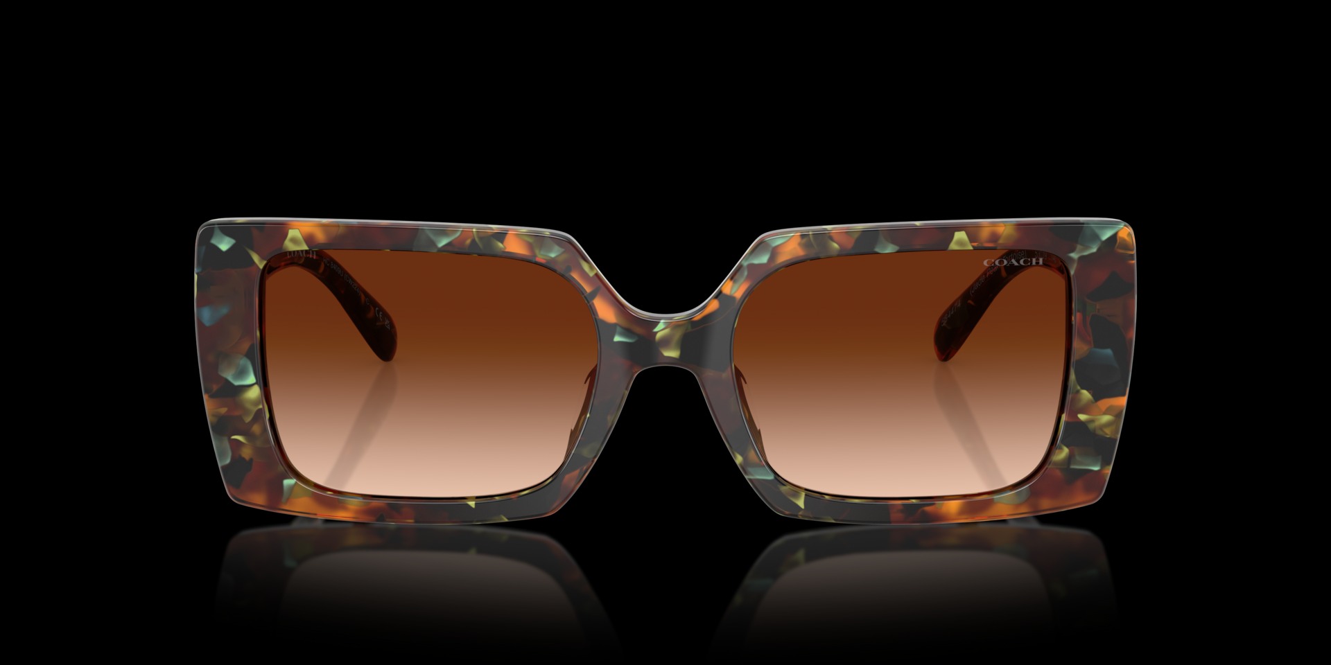 Coach Brown Acetate Women Sunglass