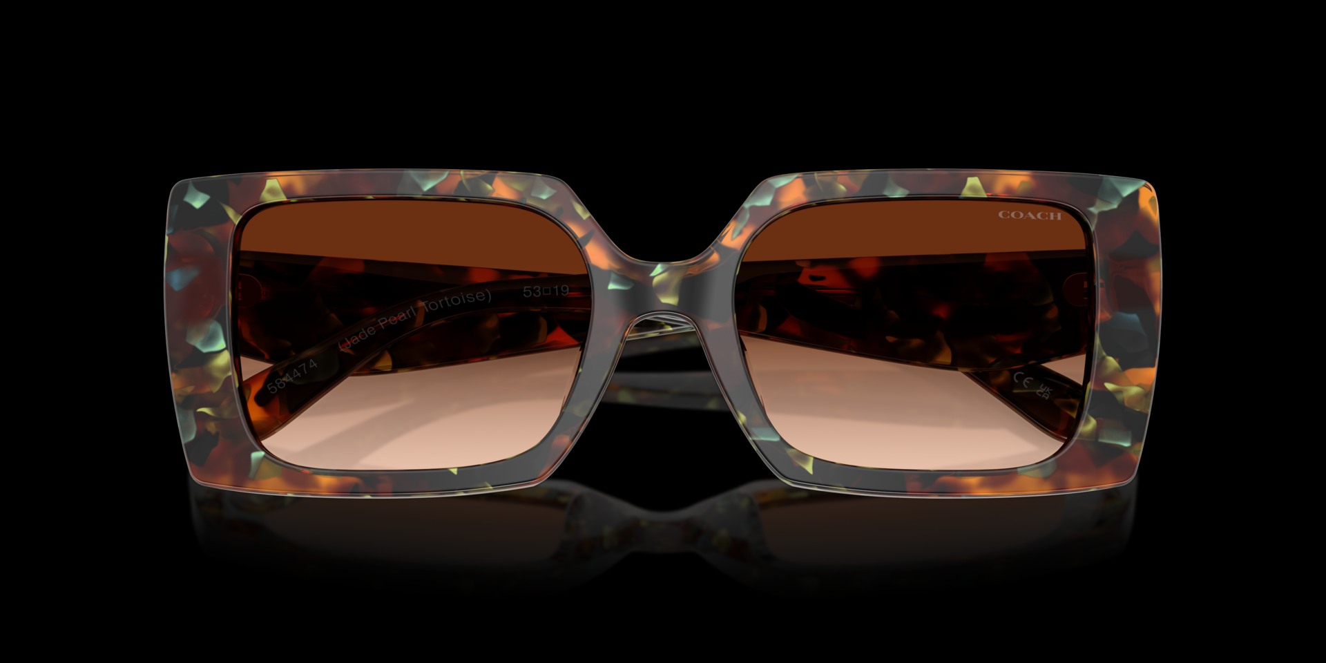 Coach Brown Acetate Women Sunglass