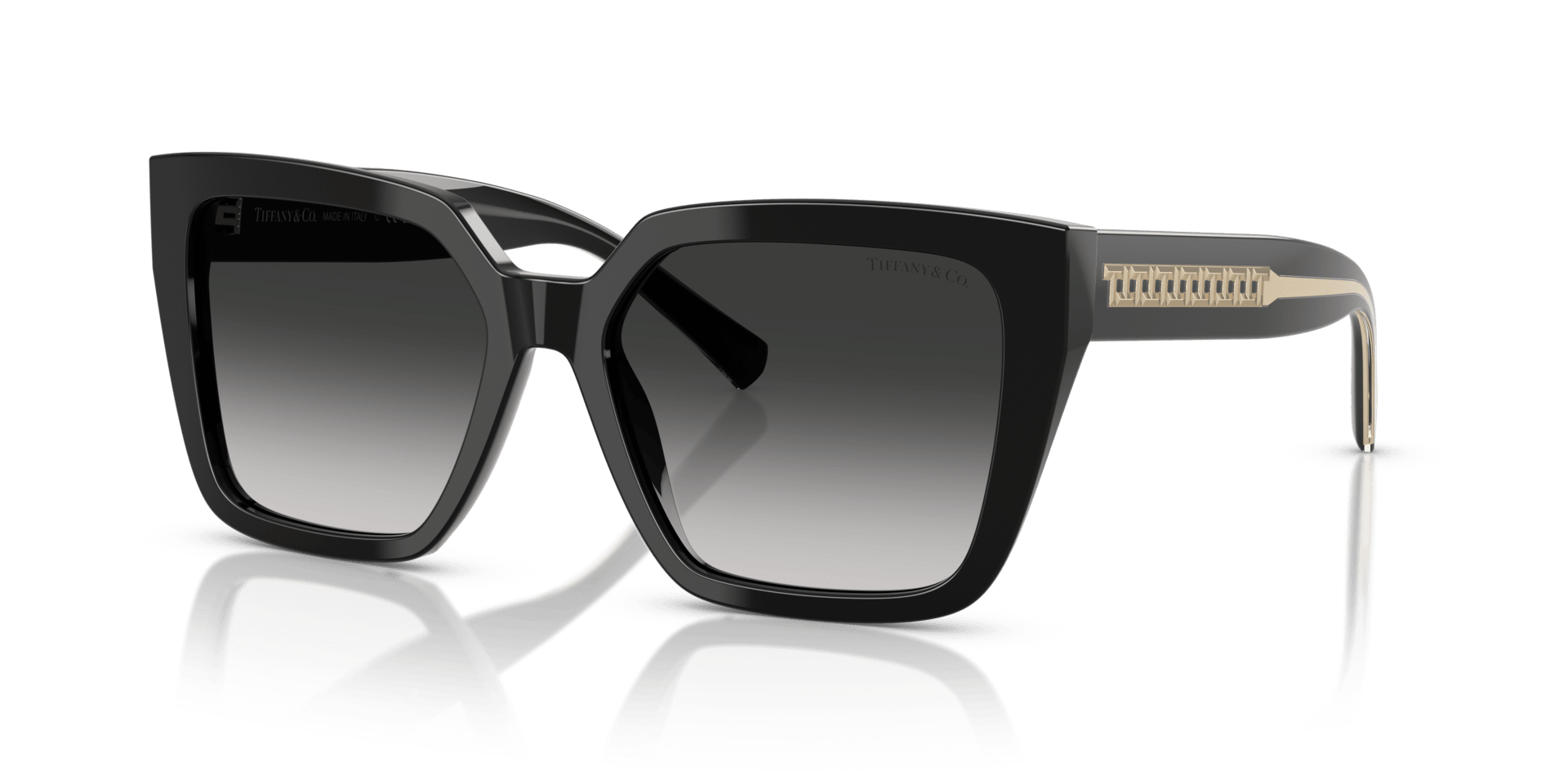 0TF4235 Acetate Women Sunglasses