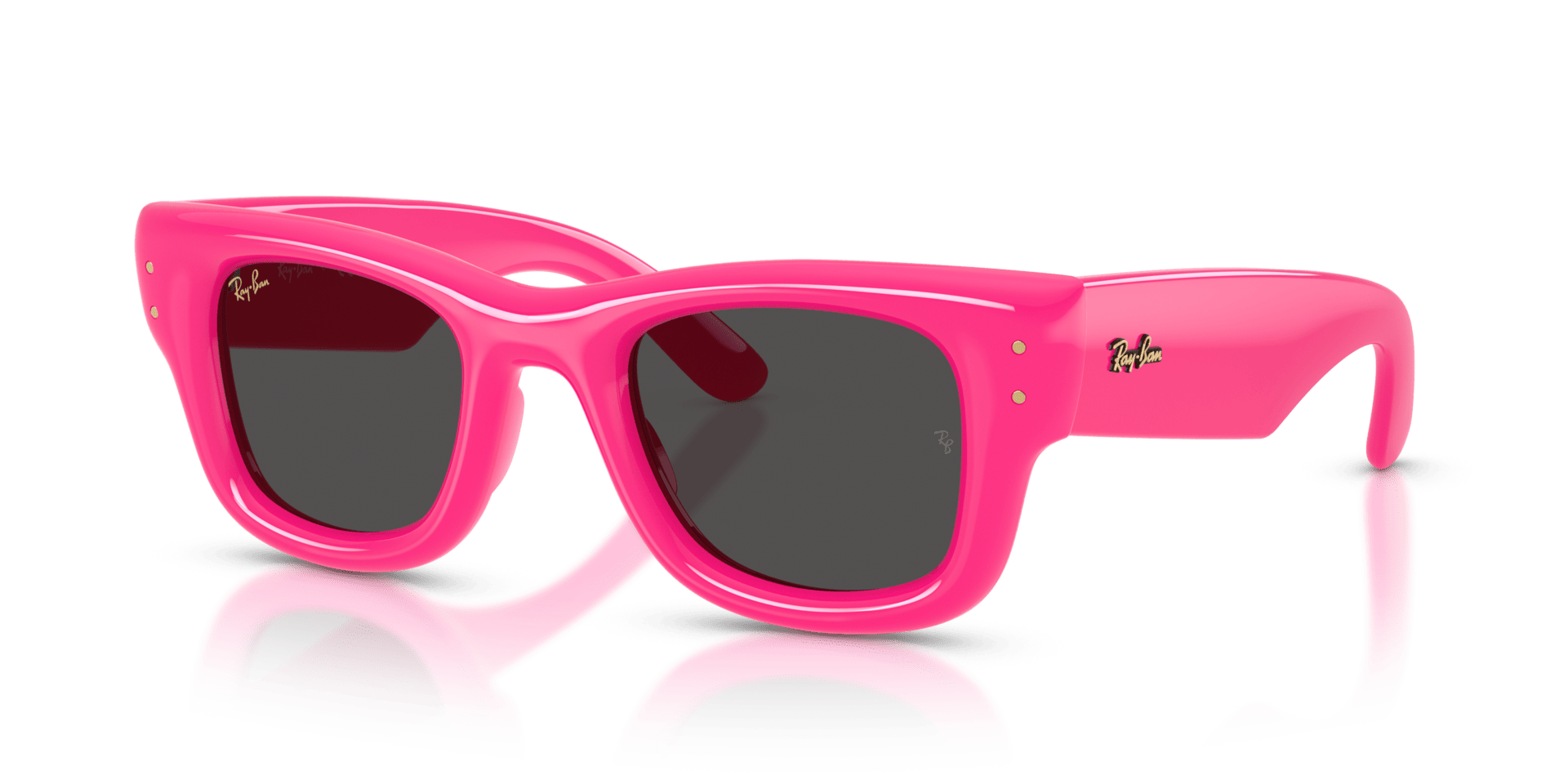 0RB4940 Injected Unisex Sunglasses