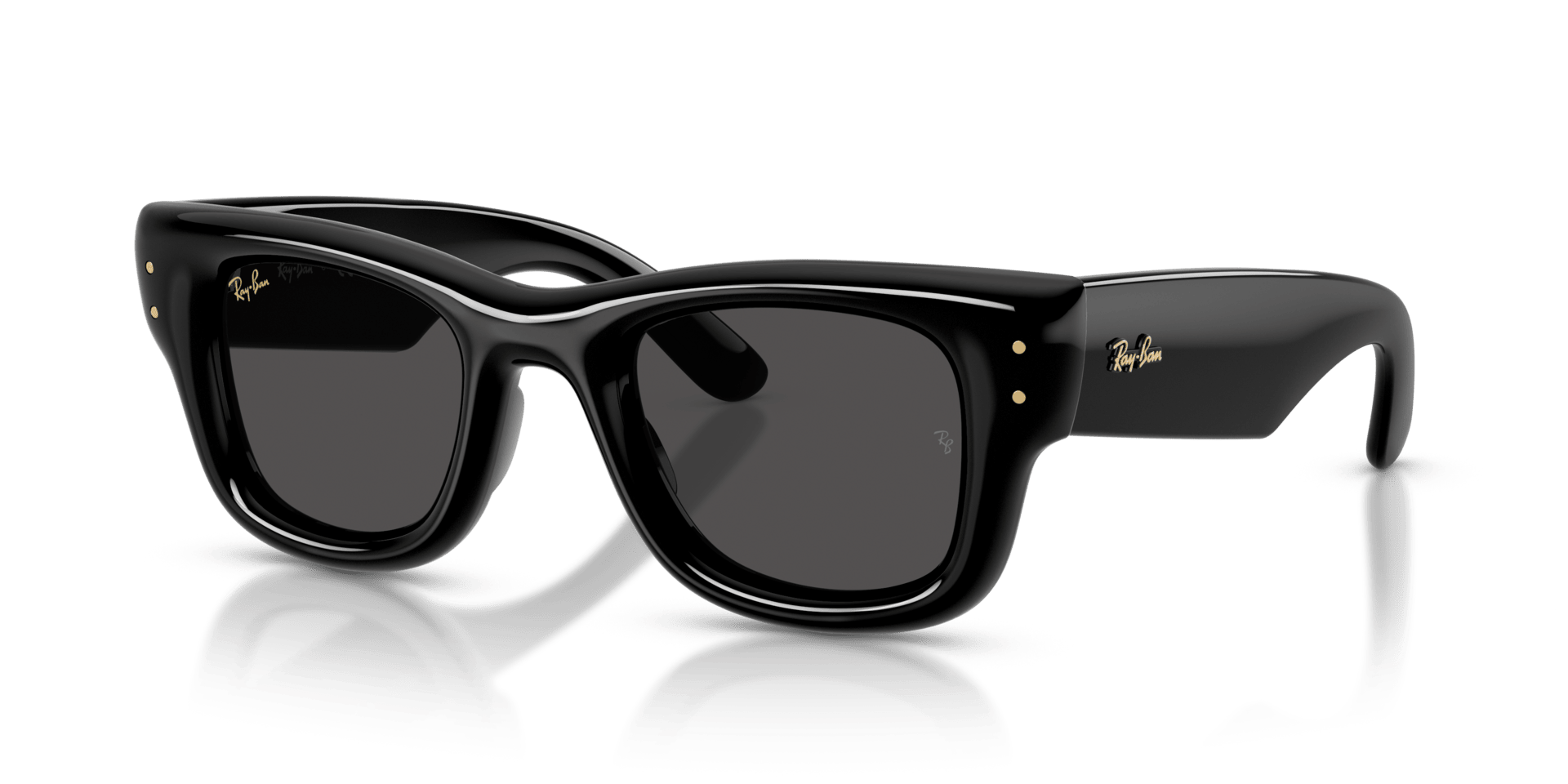 0RB4940 Injected Unisex Sunglasses