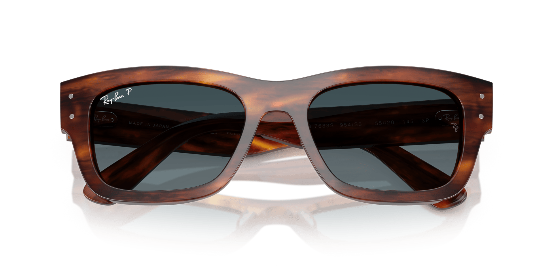0RB7683S Acetate Unisex Sunglasses
