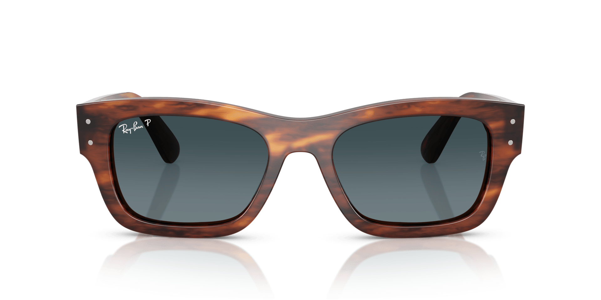 0RB7683S Acetate Unisex Sunglasses