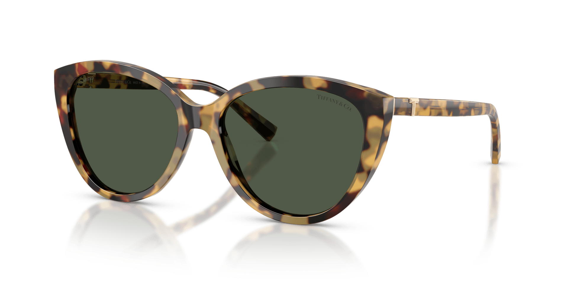 0TF4251 Acetate Women Sunglasses