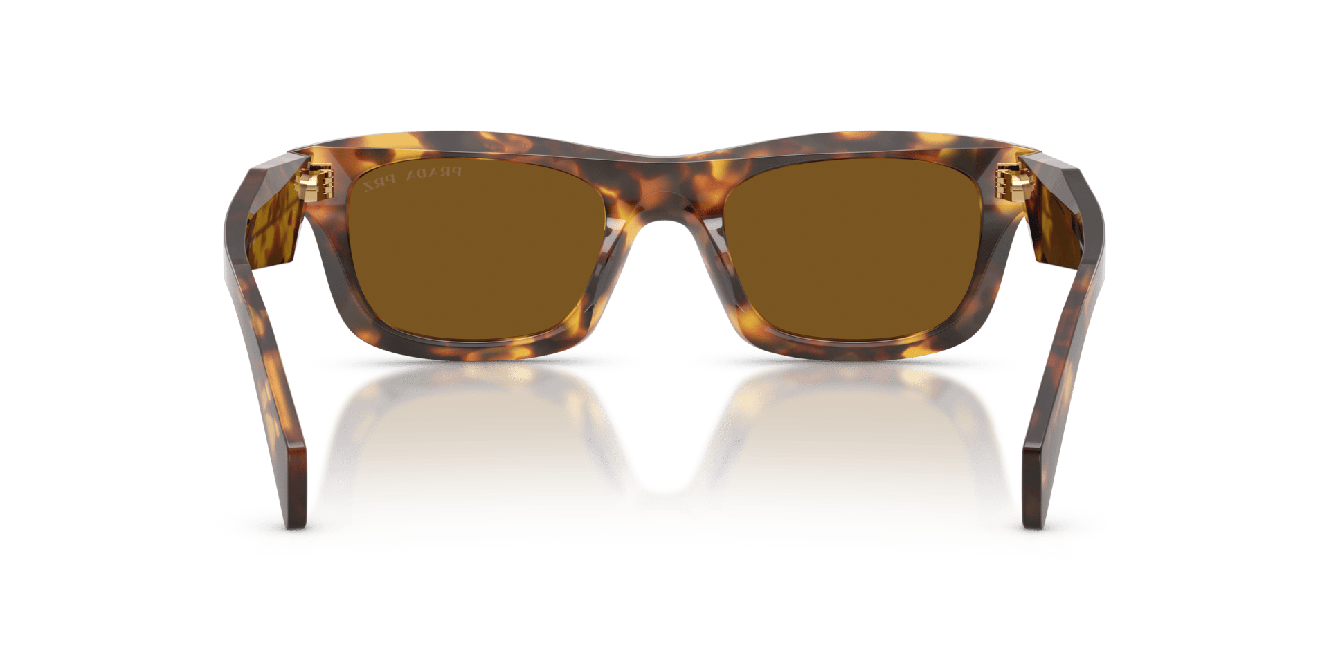 0PR C06S Acetate Women Sunglasses