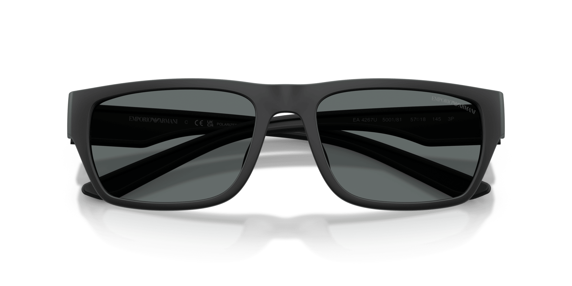 0EA4267U Injected Men Sunglasses