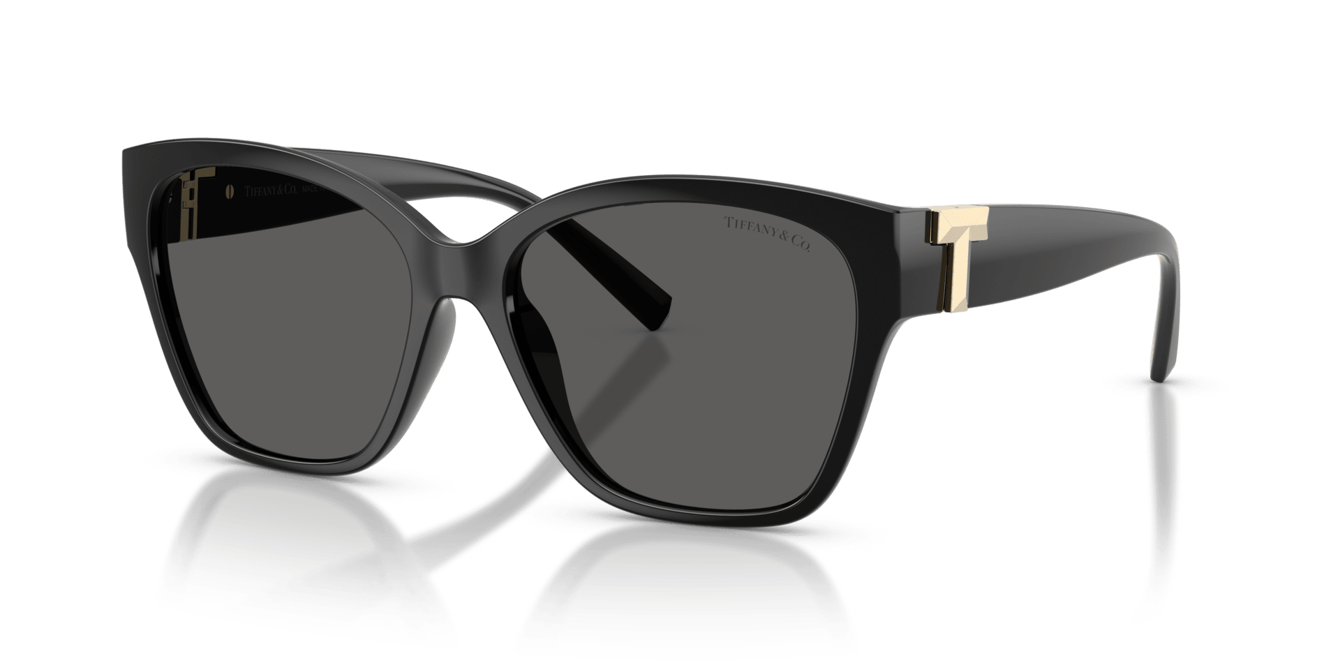 0TF4254U Injected Women Sunglasses