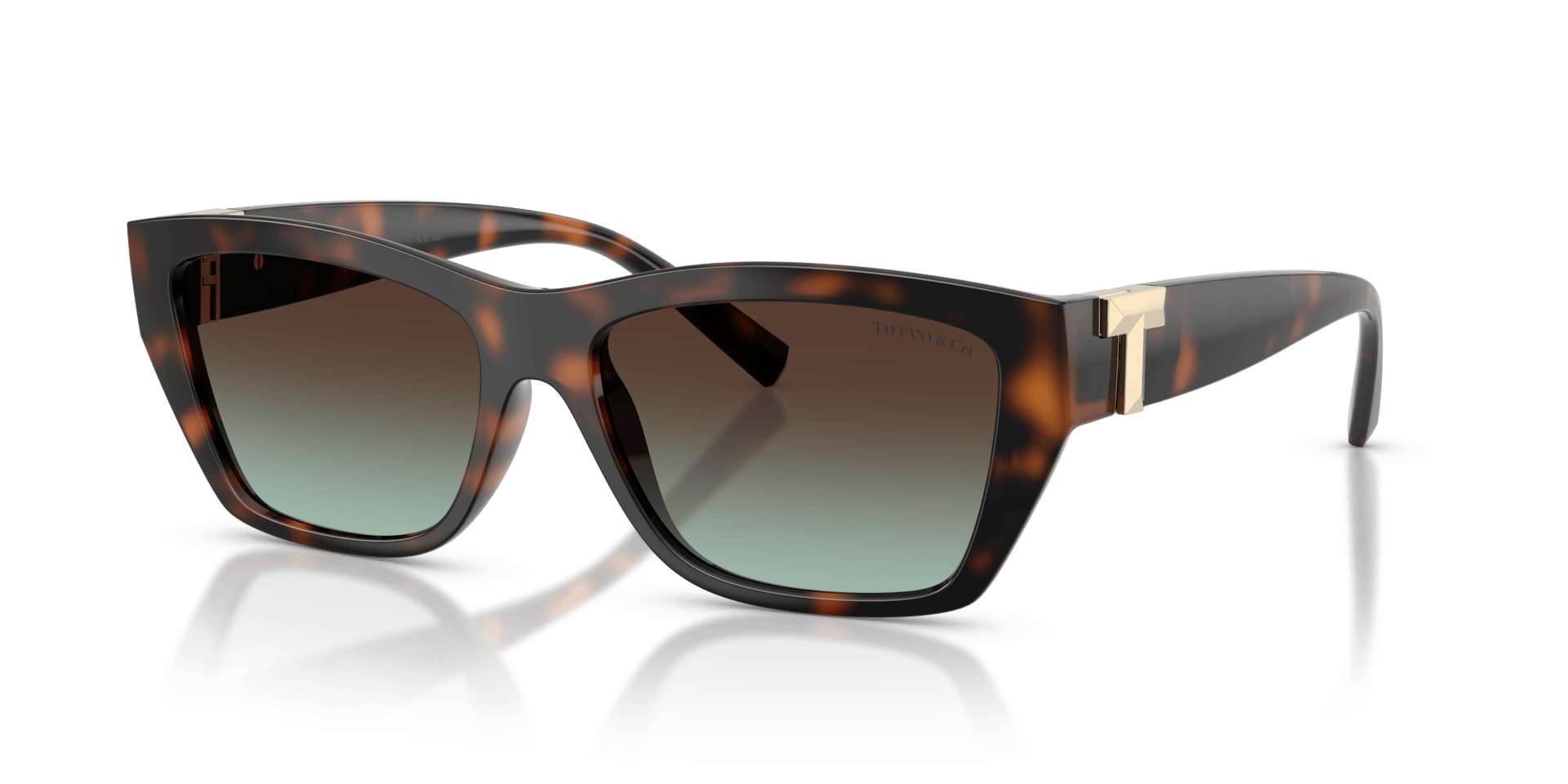 0TF4255U Injected Unisex Sunglasses