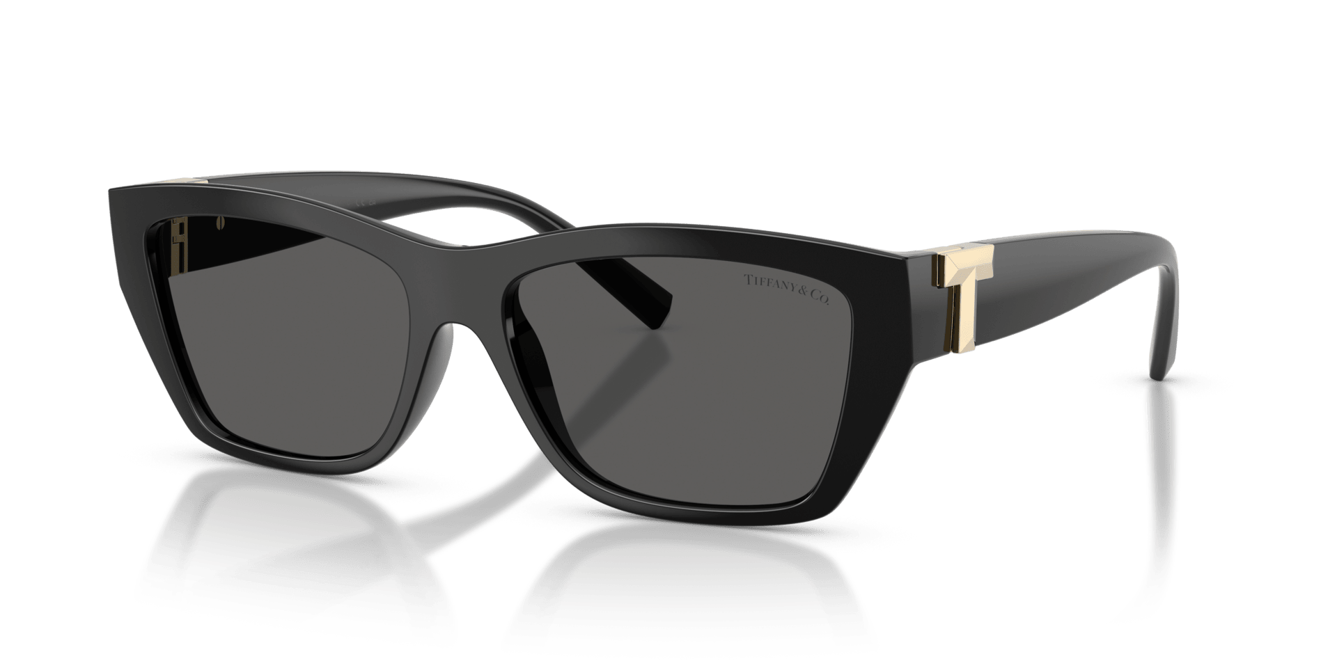 0TF4255U Injected Unisex Sunglasses