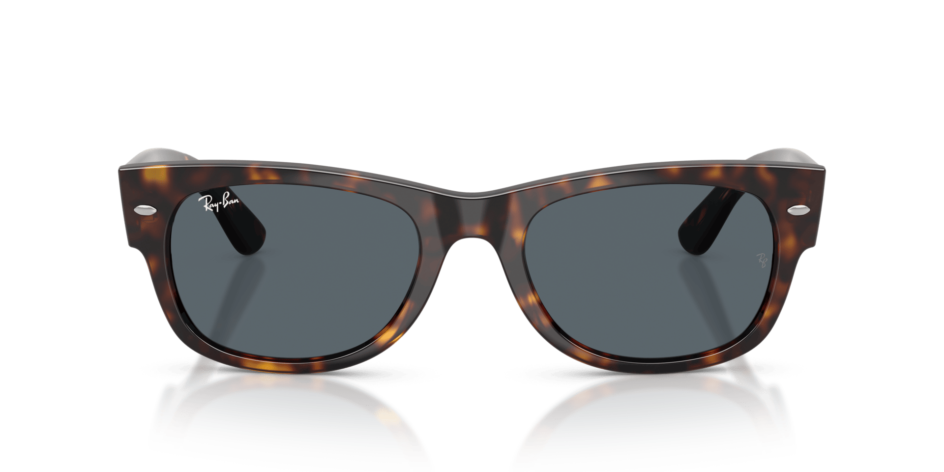 0RB0832S Propionate Unisex Sunglasses