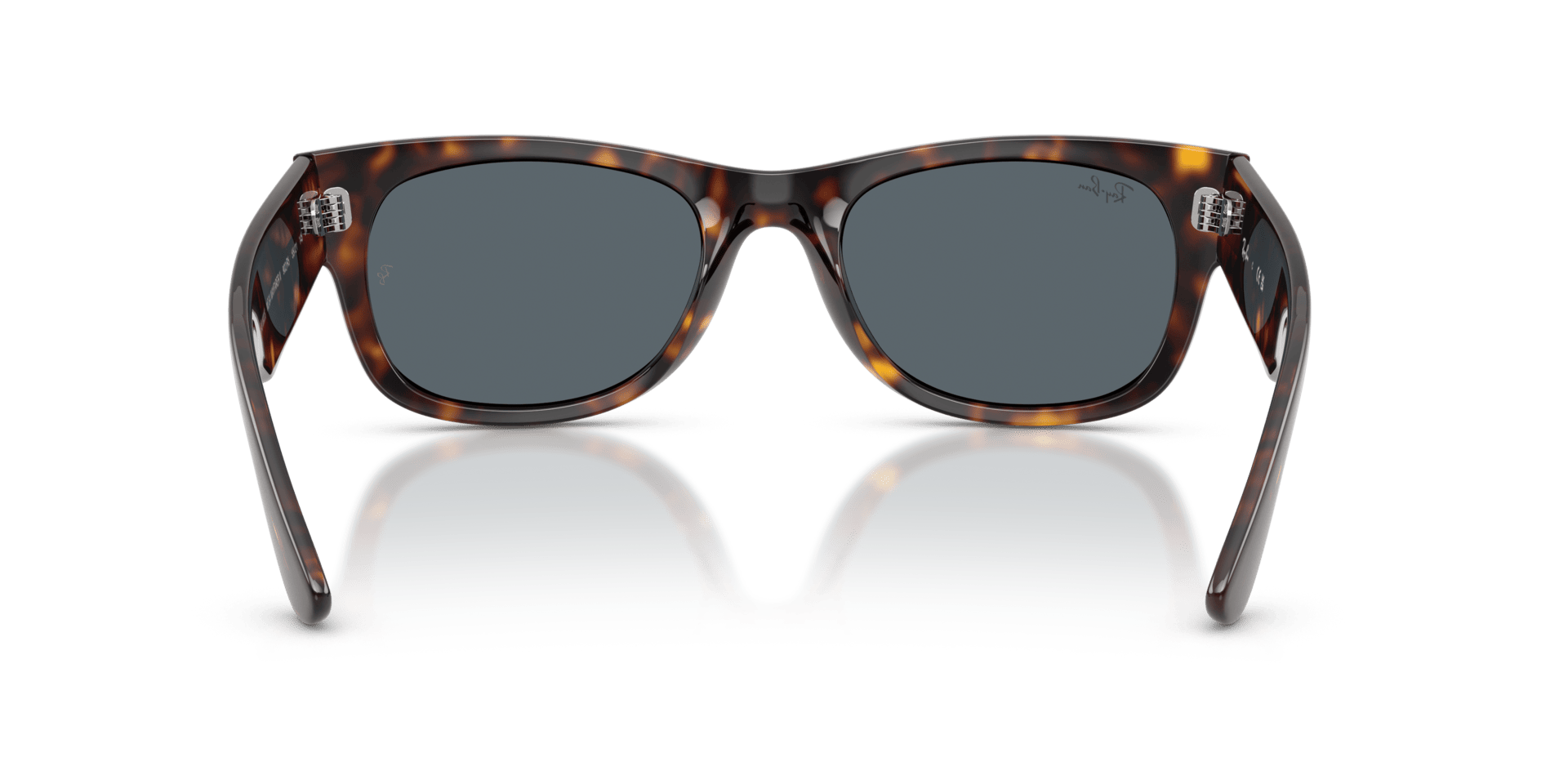 0RB0832S Propionate Unisex Sunglasses