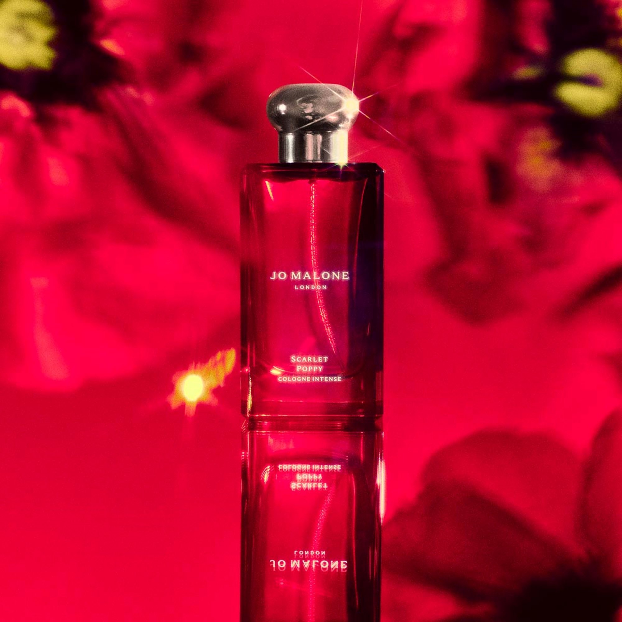 Cologne Intense Collection • 5 x 9ml