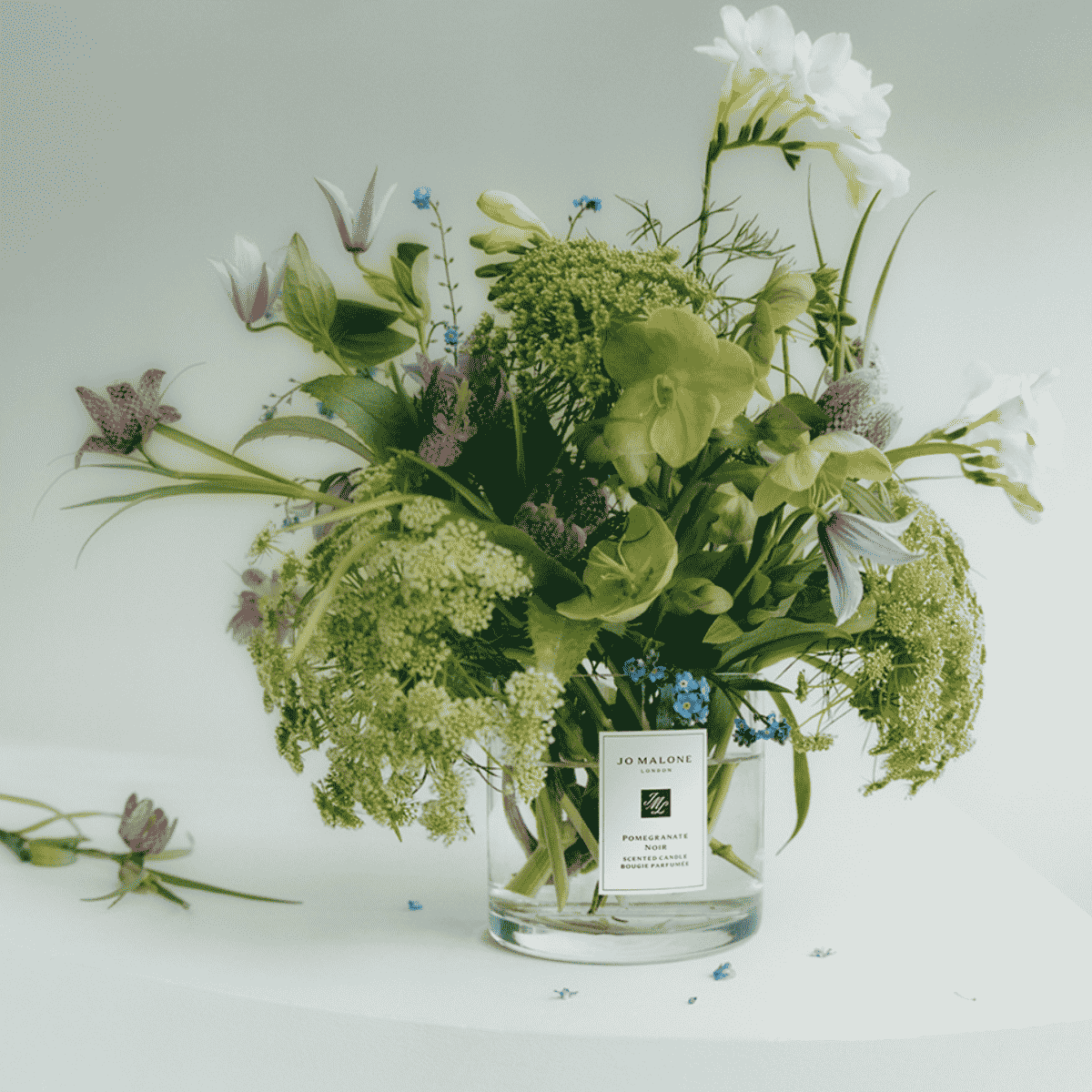 Pomegranate Noir Classic Candle • 200g