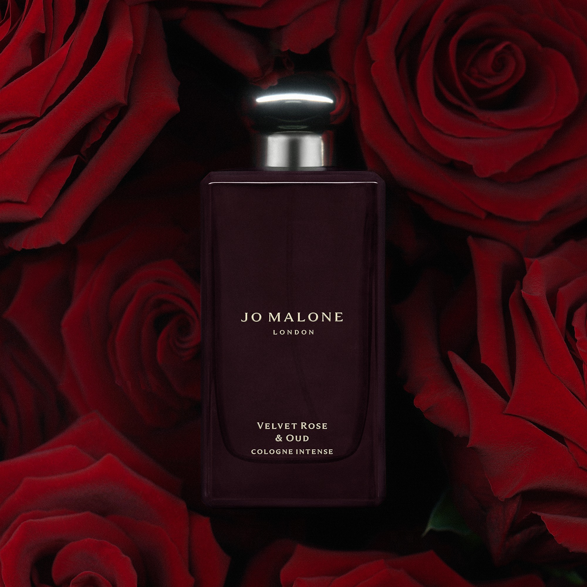 Velvet Rose & Oud • 50ml